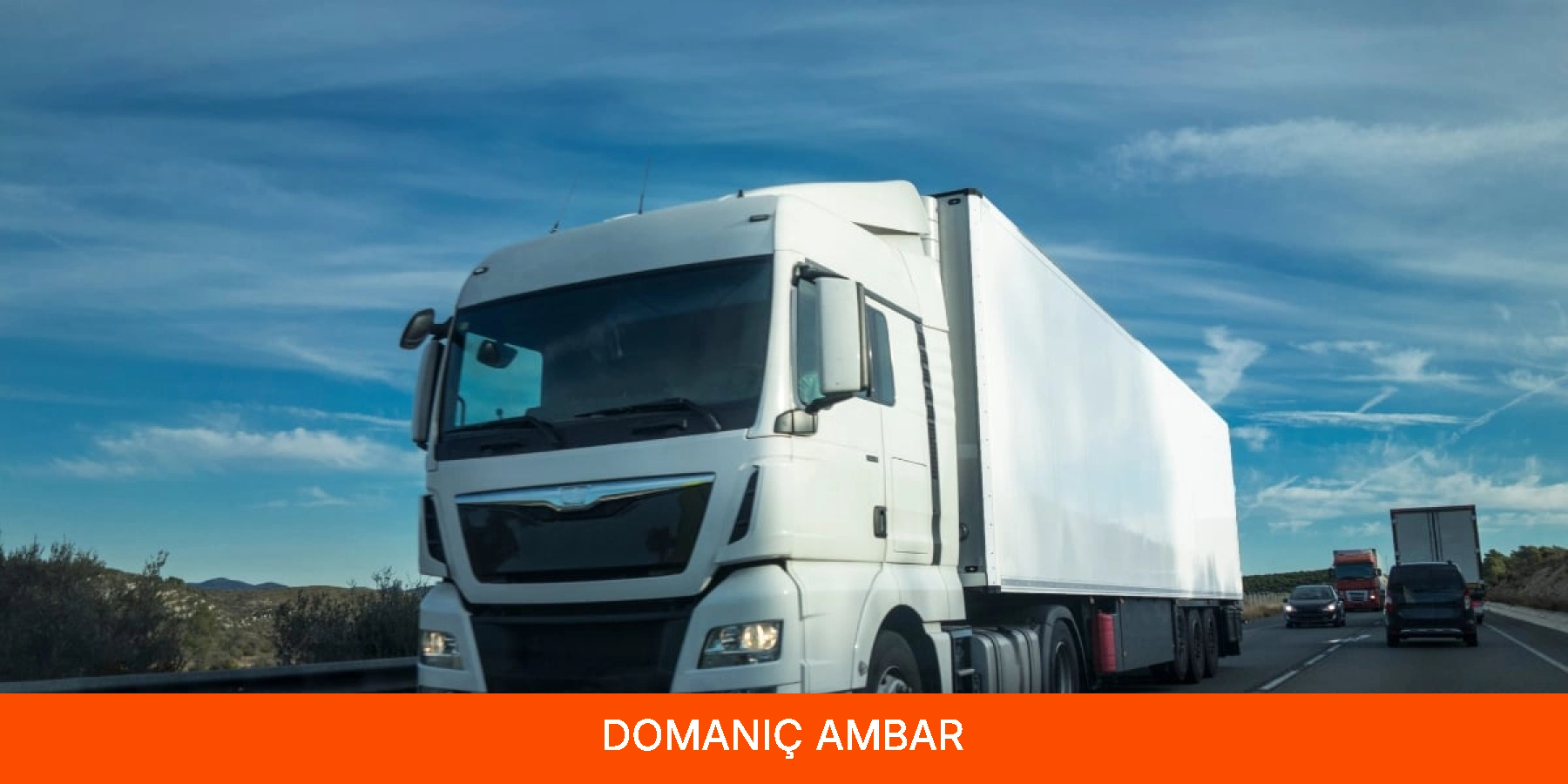 Domaniç Ambar
